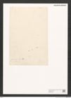 Diatomeae indet. Zeichnungen Sammlung Grunow (NHMW-BOT-W0371438)